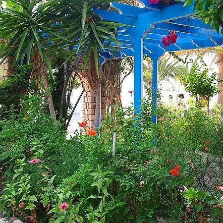 Avraki