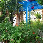 Avraki